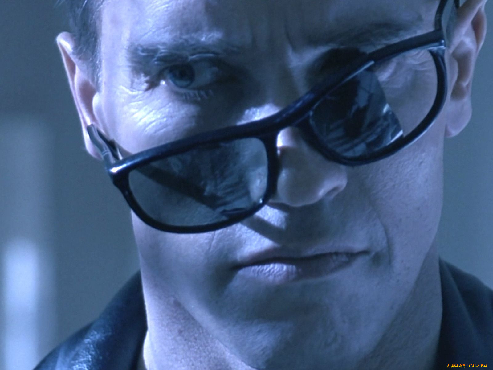 terminator, , 